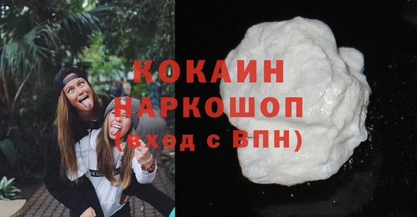 spice Няндома